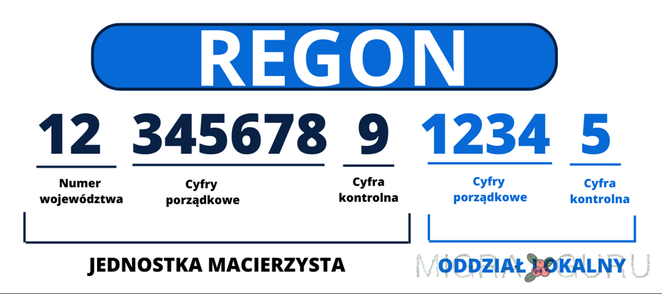 REGON в Польше: Что Это, Зачем Нужен и Какие Документы Потребуются?